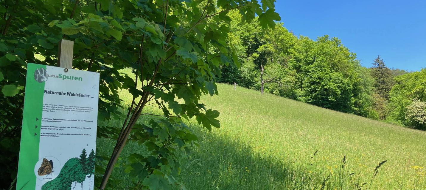 Holzbündten